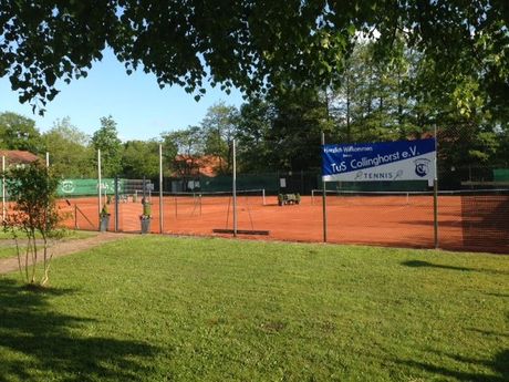 Tenniszentrum Collinghorst